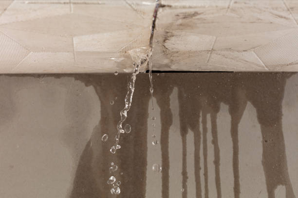 Professional Flood Damage Cleanup technician working in Nashville, IN